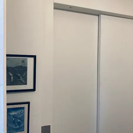 Seaview Penthouse Ostende