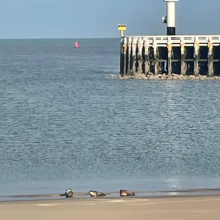 Διαμέρισμα Seaview Penthouse *