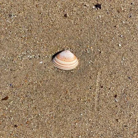 Apartamento Seaview Penthouse