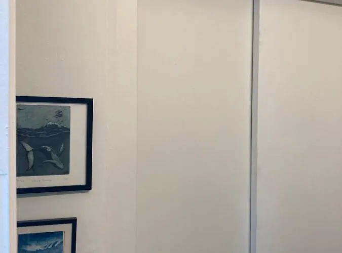 Seaview Penthouse אוסטנדה