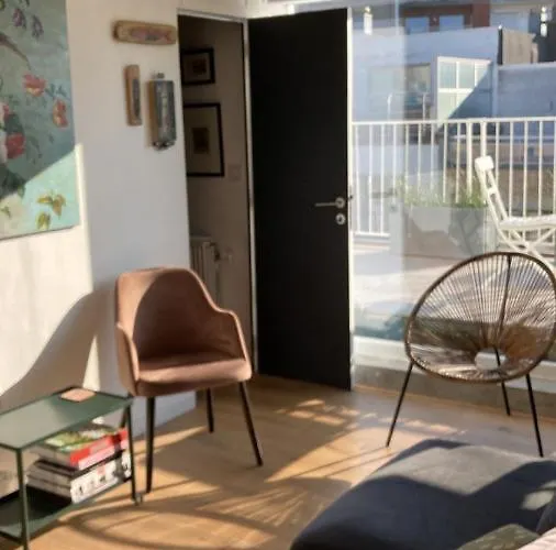 דירה Seaview Penthouse אוסטנדה